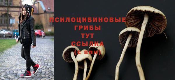 ГАЛЛЮЦИНОГЕННЫЕ ГРИБЫ Арсеньев