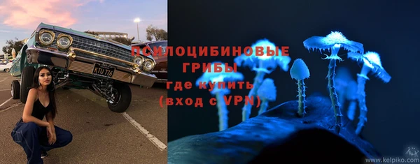 ГАЛЛЮЦИНОГЕННЫЕ ГРИБЫ Арсеньев