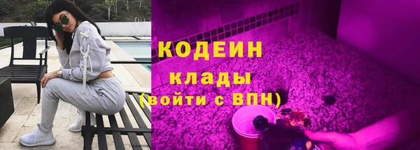 ГАЛЛЮЦИНОГЕННЫЕ ГРИБЫ Арсеньев