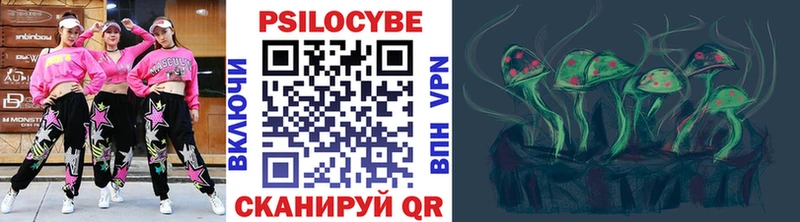 Галлюциногенные грибы Psilocybine cubensis  Купить где  Суровикино 
