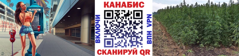 Шишки марихуана SATIVA & INDICA  Купить где  Суровикино 